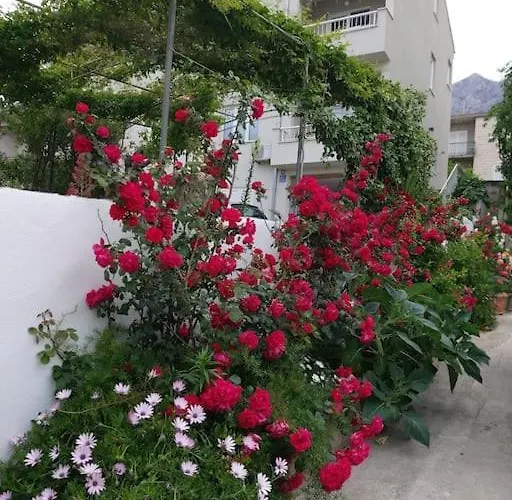 Jacky / Sea View * Μακάρσκα