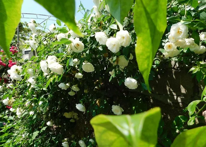 Jacky / Sea View Διαμέρισμα