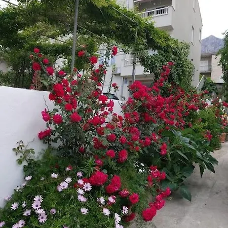 Jacky / Sea View * Makarska