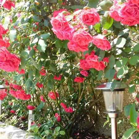 Appartement Jacky / Sea View Makarska