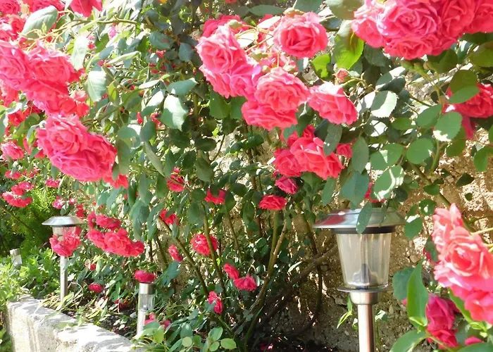 Apartman Jacky / Sea View Makarska